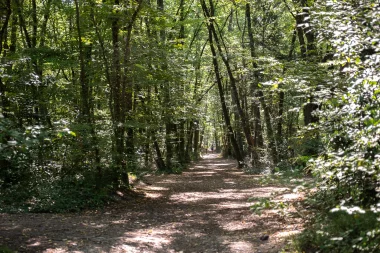 Parc de Mandavit de Gradignan (4).